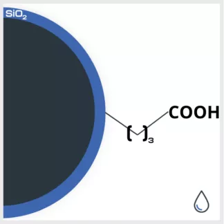 SPIO-COOH C3 encapsulée