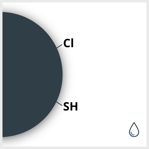 Schematic of an iron oxide nanoparticle functionalized with Cl and SH, in suspension