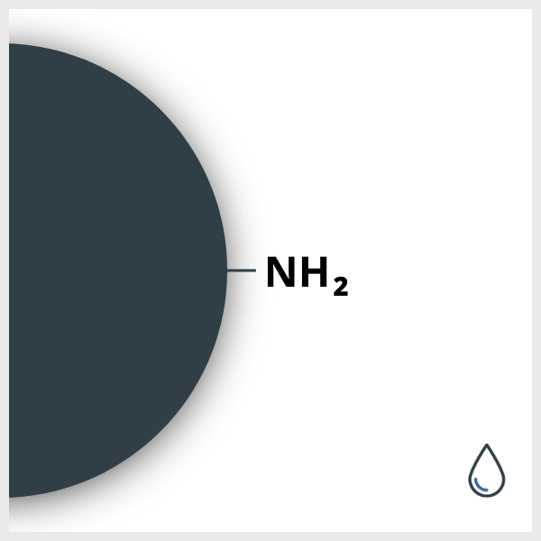 Schematic of a SPIO functionalized with NH2, in suspension