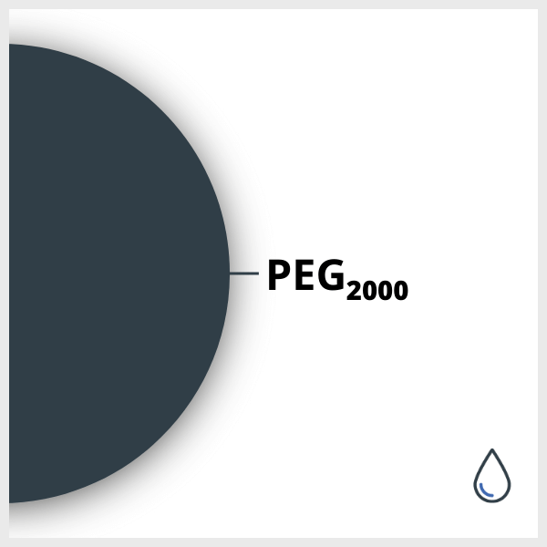 Diagram of a SPIO functionalized with PEG 2000 (Polyetylene Glycol) ending with a COH3 function, in suspension