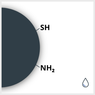 Schematic of an iron oxide nanoparticle functionalized with SH and NH2, in suspension