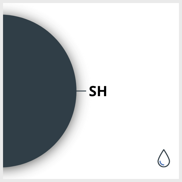 Schematic of a SPIO functionalized with SH, in suspension