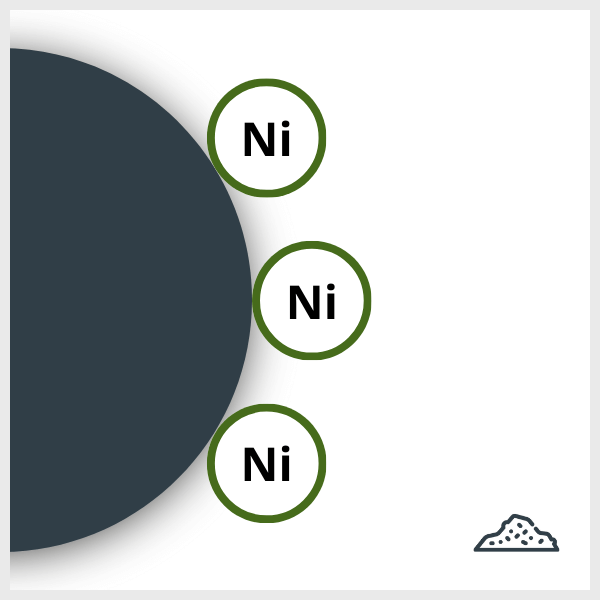 Schematic of a SPIO-Ni