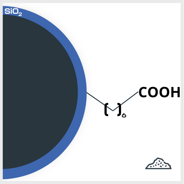 SPIO C6 encapsulé naoparticule fonctionnalisée COOH