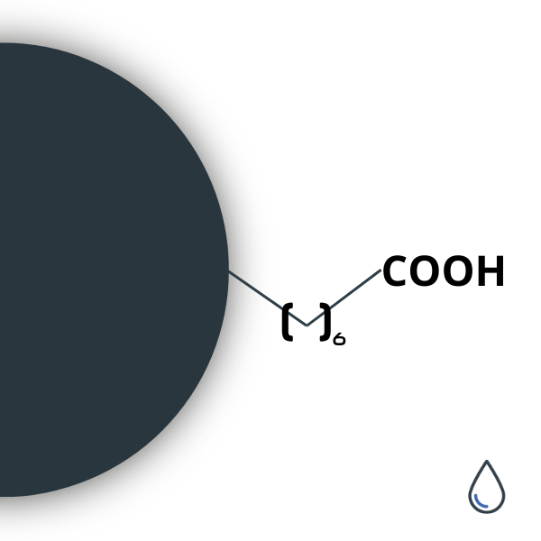 SPIO-COOH nanomatériaux fonctionnalisés